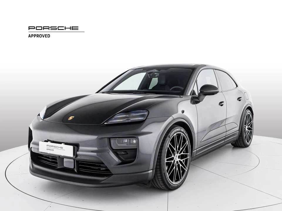 Macan